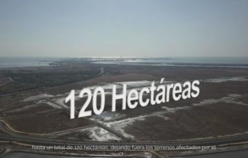 Imagen del nuevo proyecto Aletas, redefinido como Lógica 