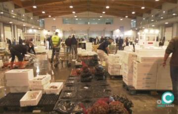 Nave central del Mercado Mayorista de pescado de El Puerto