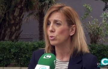 La portavoz del grupo municipal socialista, María José Rodríguez