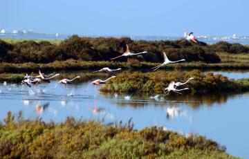 Junta de Andalucía ha requerido al Consorcio de Aguas que actúe con celeridad