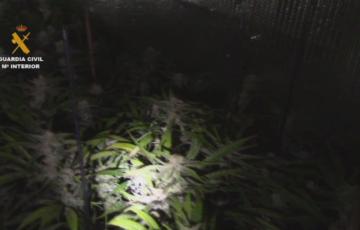 La Guardia Civil desarticula una organización dedicada al tráfico de drogas con destino Europa a través de camiones de gran tonelaje