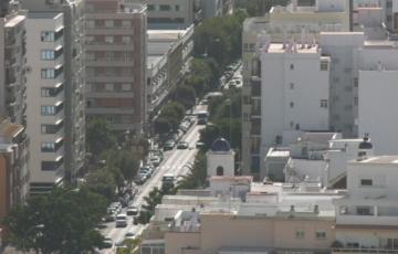 El Ayuntamiento planta casi un centenar de nuevos árboles en calles, plazas y jardines