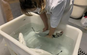 Este listado que recoge a las 26 investigadoras e investigadores con mejor índice h 