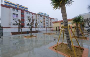 Patio de uno de los colegios de Cádiz