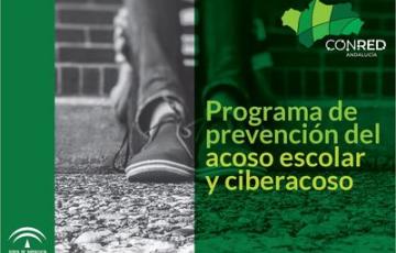 Los adolescentes son los sectores más vulnerables