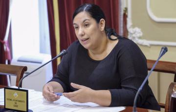 La edil del Ayuntamiento de Cádiz Ana Fernández