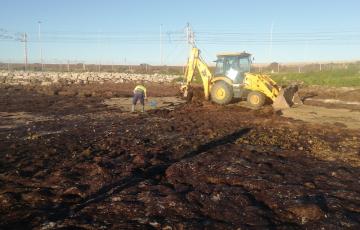 Aguas de Cádiz recoge el vertido acumulado en la Bahía