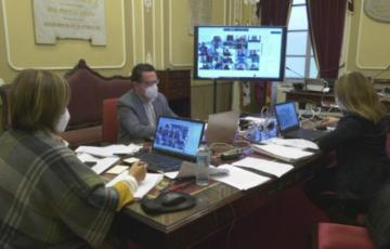 Una imagen del pleno telemático