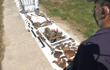 Técnicos transportan los restos exhumados