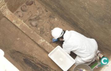 Los trabajos se realizan en 24 sepulturas colectivas