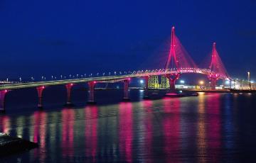La Cruz Roja y la Media Luna Roja celebran su día con los voluntarios