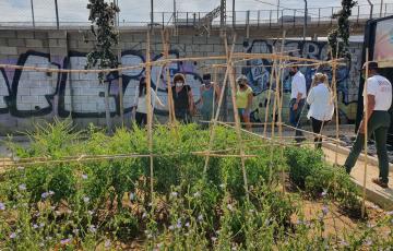 El Equipo de Gobierno apuesta por "el fomento de la agricultura urbana como medio para mejorar el medio ambiente"