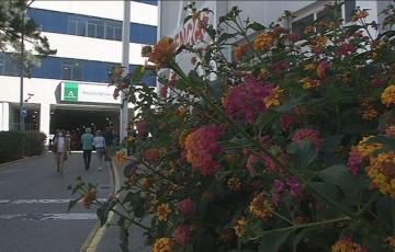 CSIF y Marea Blanca denuncian recorte de recursos sanitarios en el plan de vacaciones del SAS