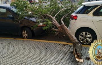 Solo se han lamentado daños materiales