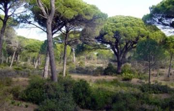 Parque natural La Breña