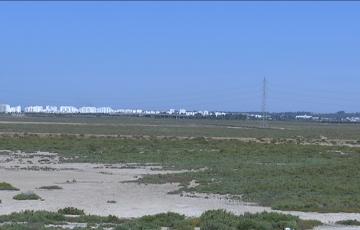 El Parlamento andaluz da el visto bueno a un decreto clave para el desbloqueo del proyecto de Las Aletas