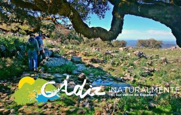 La AETC ha presentado un documental que llevará a Fitur