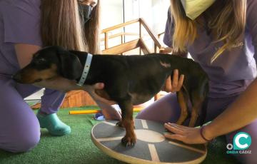 Una de las pacientes, Maggie, recuperándose de su operación de hernia discal