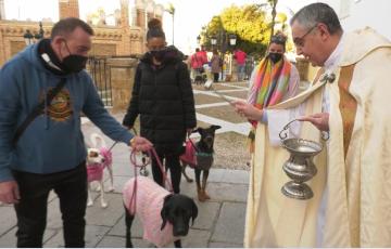 El padre Pascual Saturio bendice una de las mascotas que acudieron a festejar San Antón