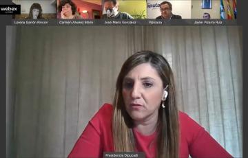 Momento de la sesión telemática del pleno