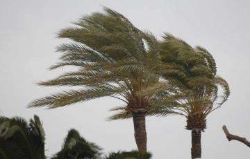 La intensidad irá aumentado durante la semana