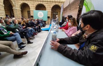 Mercedes Colombo ha sido reelegida presidenta de los populares gaditanos