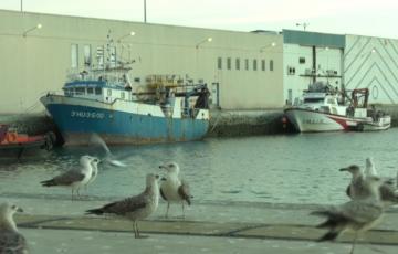 A partir del día 21 todas las flotas están convocadas a un paro general