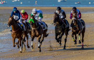 Sanlúcar volverá a disfrutar de sus tradicionales Carreras de Caballos este próximo verano