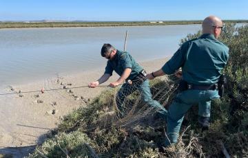 El Seprona incauta 17 kg de coquinas ilegales en el Puerto de Santa María.