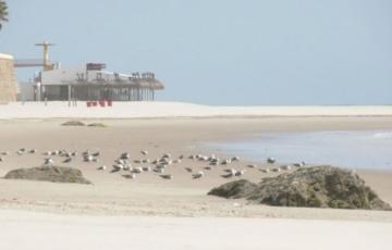 La ola de calor afectará a toda la provincia