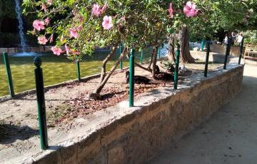 Mejoras Parque Genovés