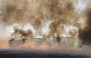 El Plan Infoca en Cádiz tiene una partida de más de 17 millones de euros