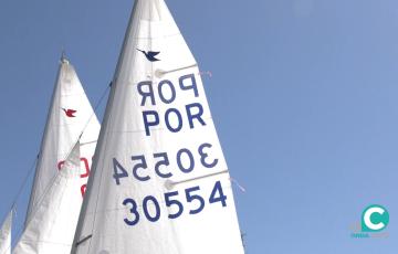 Imagen de algunas de las embarcaciones que han participado en la competición 