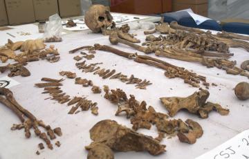 En los trabajos de exhumación se han hallado 85 víctimas por arma de fuego