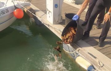 Se han incautado 60 kilos que fueron arrojados al mar