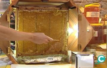  La recreación estará abierta al público a partir de las 12h hasta la 1h, a excepción del domingo que finalizará a las 22h.