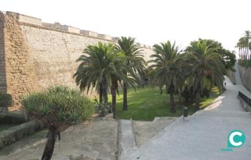  APDHA considera llamativo que en el desalojo efectuado estos días los servicios sociales no hayan sido avisados