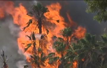 Ecologistas alertan de la "dificultad" en la extinción de los incendios de cuarta generación y ven "clave" la prevención