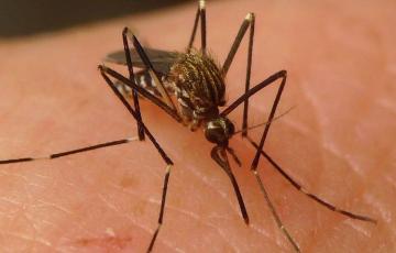 La provincia ha registrado el primer caso