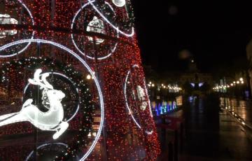 Árbol iluminado en la  pasadas navidades 