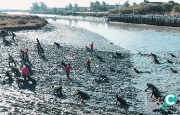 Los dos kilómetros de fango serán la mayor dificultad a superar por los participantes