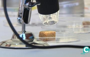 Las universidades públicas andaluzas suman 157 solicitudes de patentes internacionales 