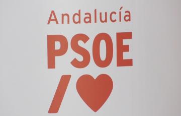 El proceso de elección interna que se celebrará los próximos 21 y 22 de noviembre