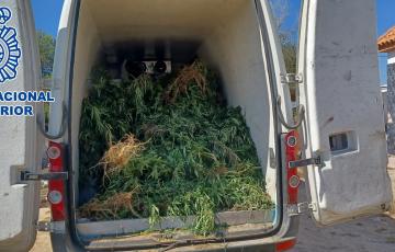 La operación se ha llevado a cabo en Sanlúcar