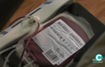 Puedes donar sangre si tienes entre 18 y 65 años, pesas más de 50 kilos y gozas, en general, de buena salud