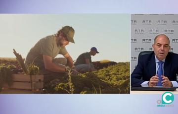 El presidente de ATA en Onda Cádiz TV