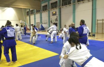 El Ayuntamiento, junto a las federaciones española y andaluza de Judo, avanza en los preparativos del 50 Memorial Raúl Calvo .