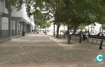 Las empresas interesadas tienen hasta el 24 de enero para presentar sus ofertas