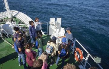 La Universidad de Cádiz seleccionada de nuevo para la iniciativa 'Universidades Europeas'.