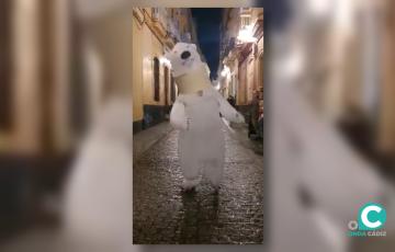 Imagen del oso de la cabalgata del barrio del Mentidero 